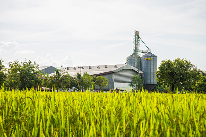 agrochemicals